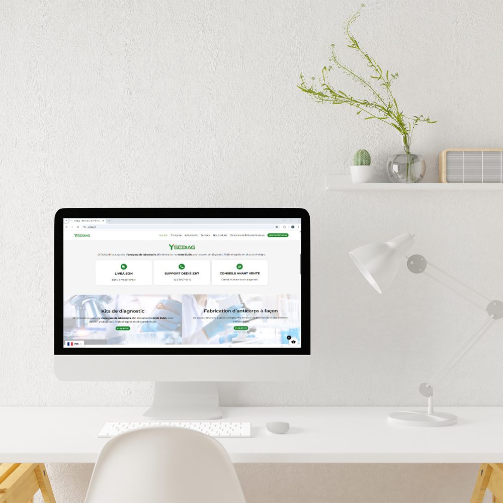 Refonte site internet Lyon